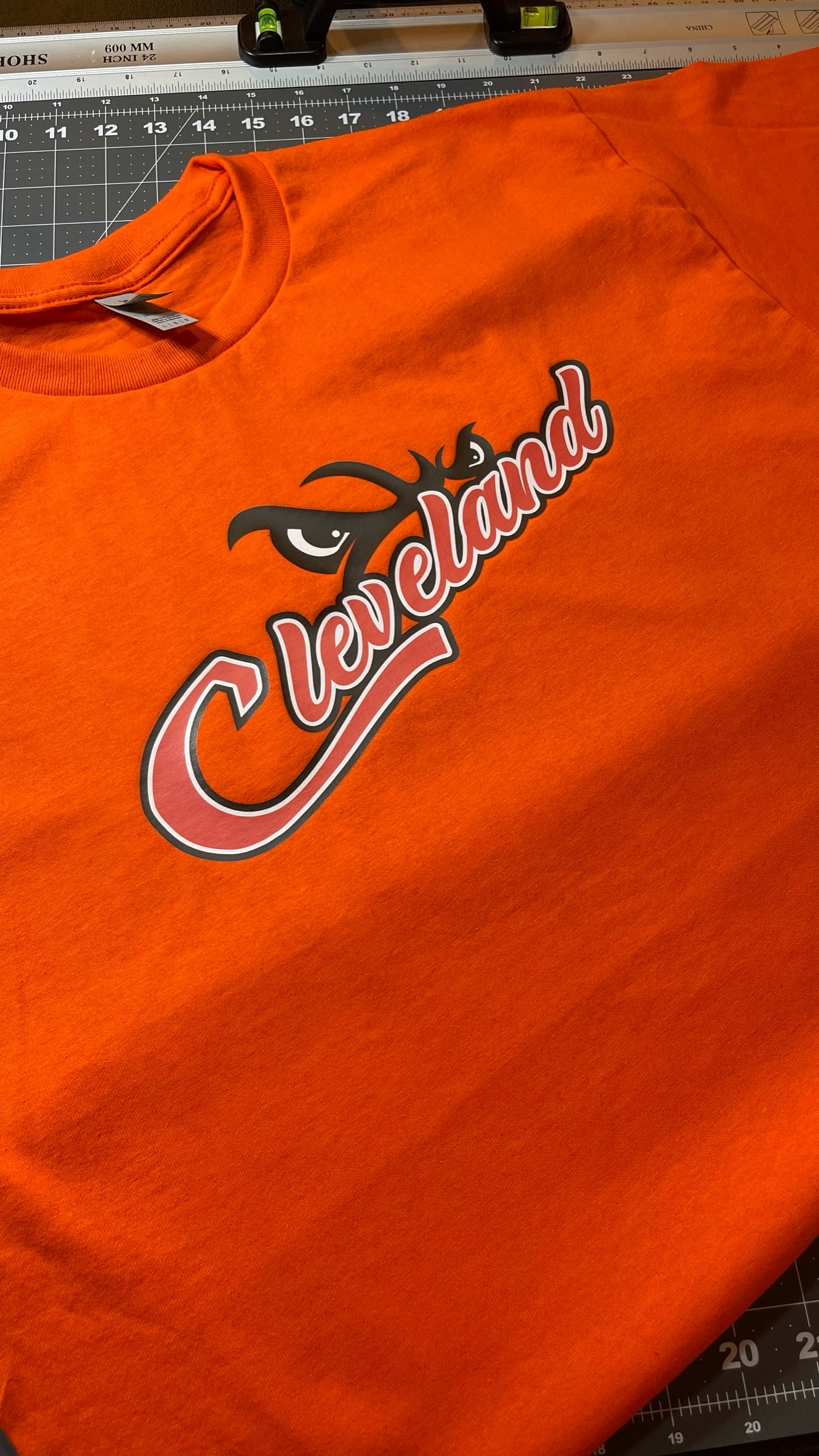 Cleveland Script Tee in Browns Colorway